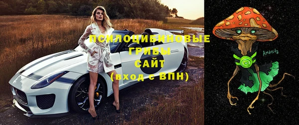 бутират Няндома