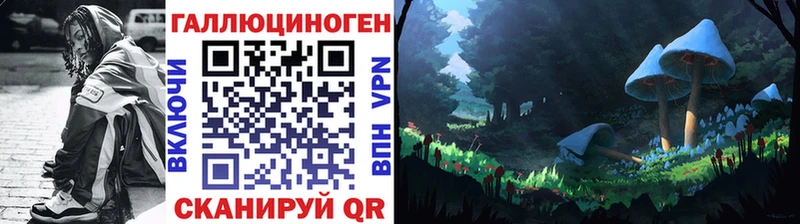 Псилоцибиновые грибы Cubensis  Богданович 