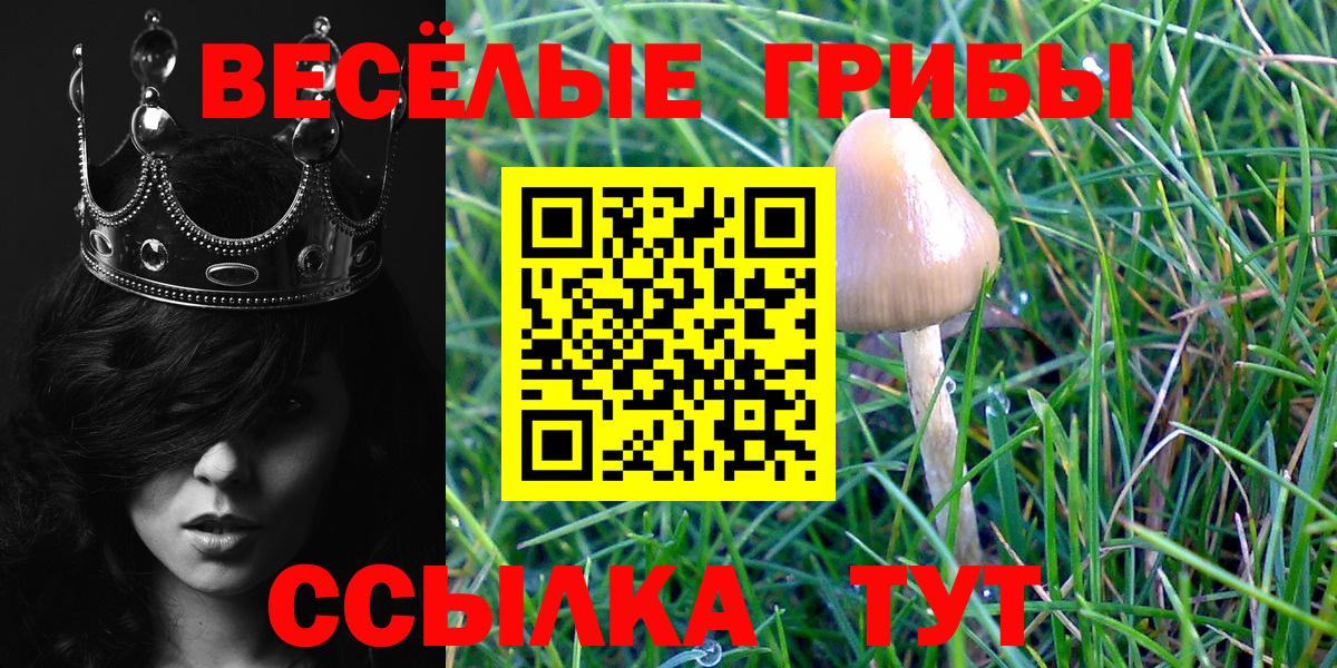 Богданович  Галлюциногенные грибы Magic Shrooms  купить наркоту  Вход с VPN 
