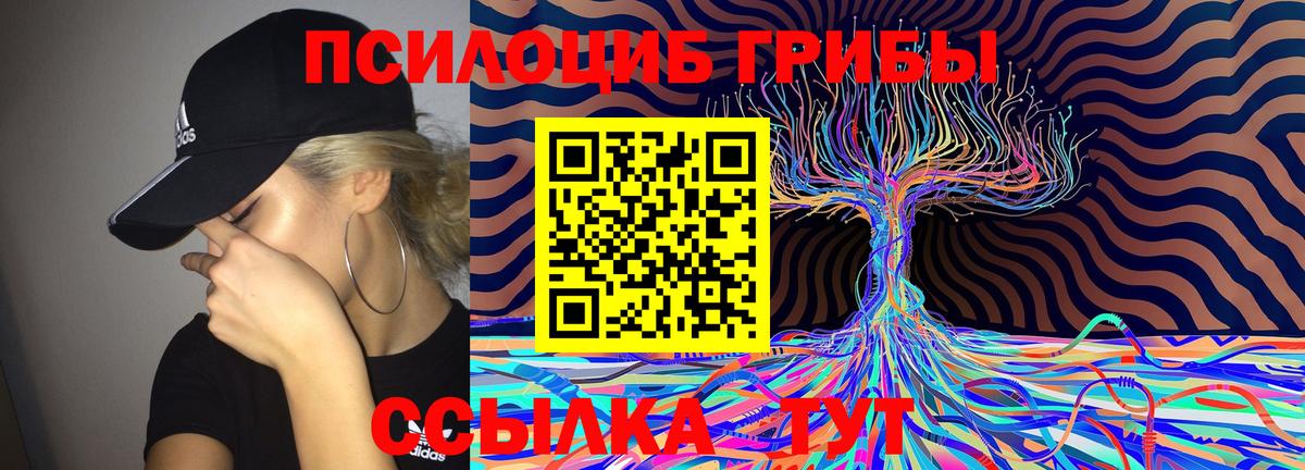 Галлюциногенные грибы Magic Shrooms Богданович