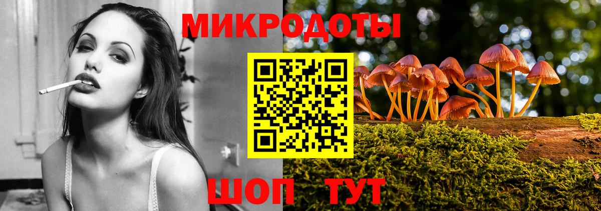 Галлюциногенные грибы Psilocybine cubensis  Галлюциногенные грибы ЛСД  Богданович 